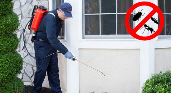 Uşak Hamam Böceği İlaçlama böcek ilaçlama ve haşere kontrolü — ilaclama-tr.com